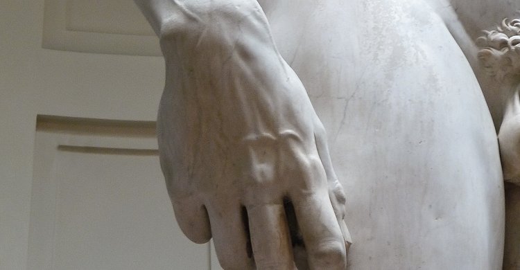 'David'_by_Michelangelo_JBU08