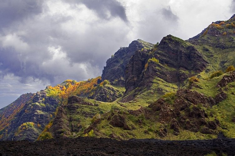 WrYvtVqrTXC44jQjZv7A