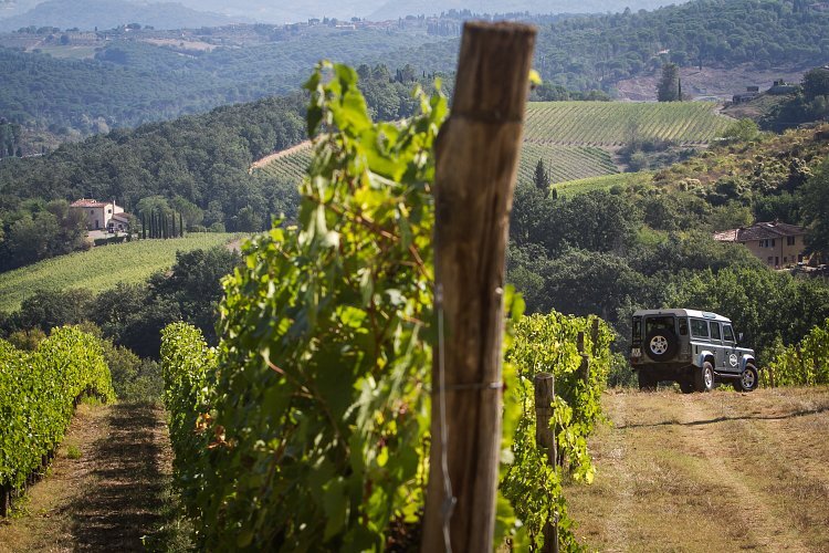 IM2_1233_w5olxb?_a=BACAEuGT