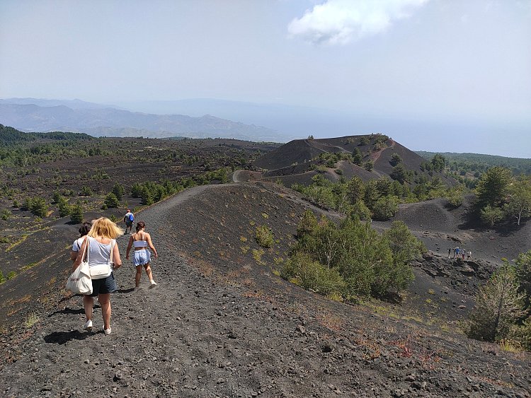 2rbg1SDRFyrSACQANaBR