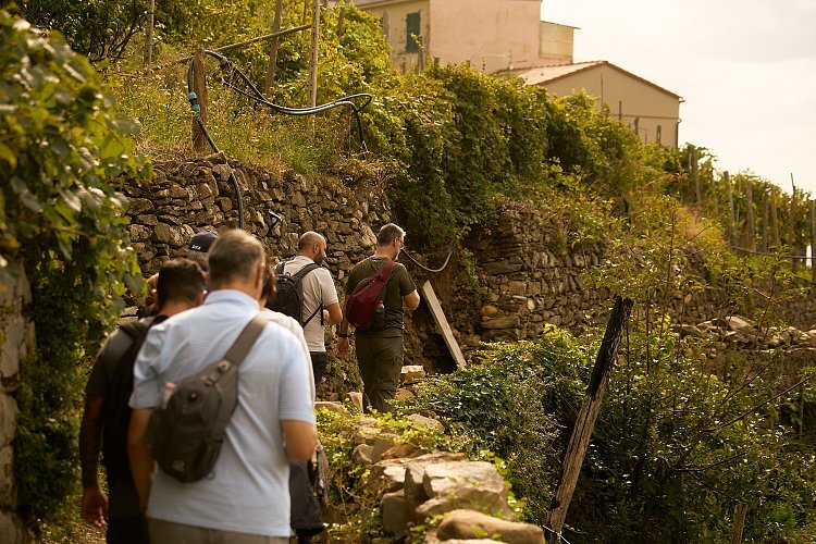 Terza_fry7k4?_a=BACAEuGT