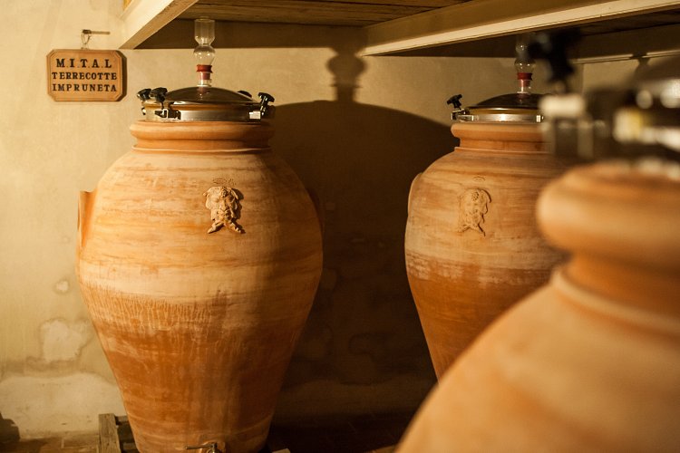 cantina_25_y2f2wd?_a=BACAEuGT