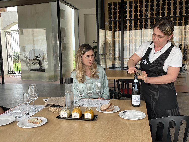 IMG_1597_sgmgjb?_a=BACAEuGT