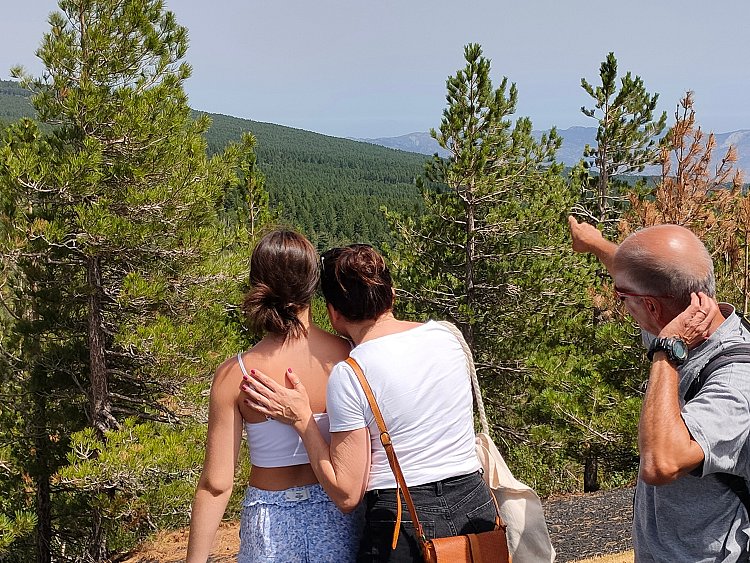 t4fOJdNPTayyfuQjdJNx