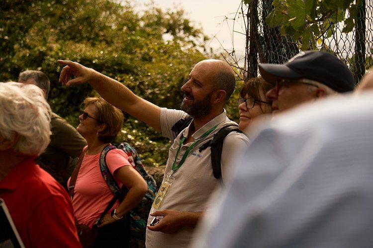 Quarta_ul9zan?_a=BACAEuGT