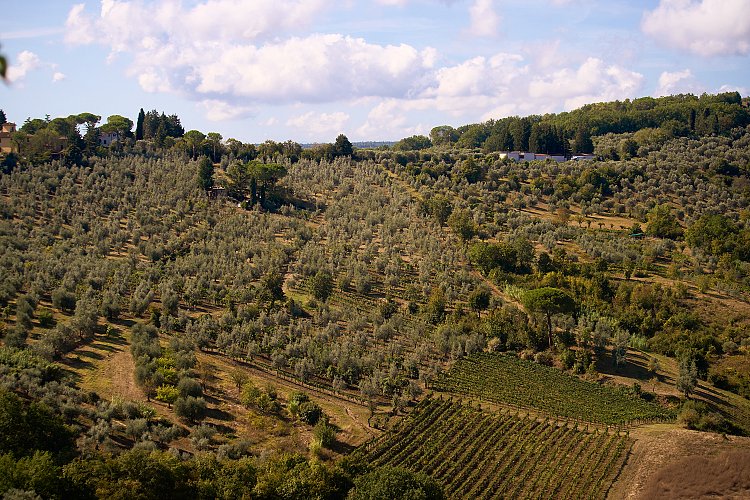 Wine_and_Olive_Oil_Trail_95_tze2oa?_a=BACAEuGT